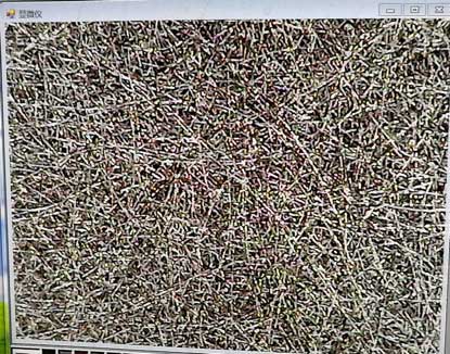 不銹鋼燒結(jié)網(wǎng)放大圖